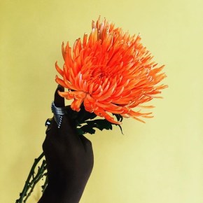 A Reflection on Rape and&nbsp;Disability